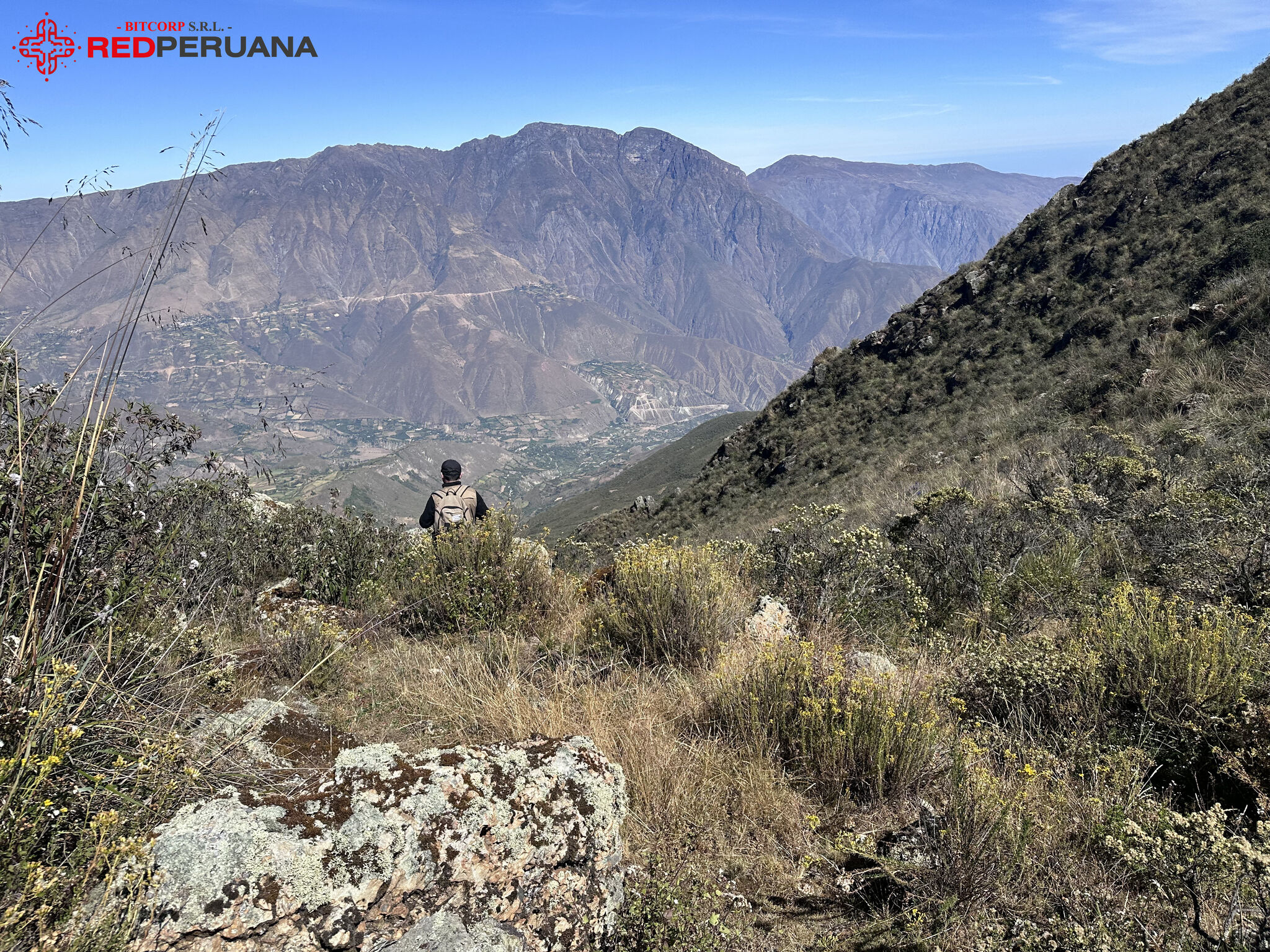 Servicios Arqueológicos Profesionales - RedPeruana